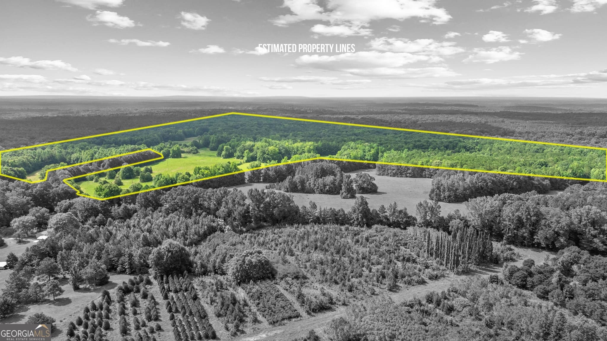 unimproved land for sale at 0 Ray Road, Gay, GA 30218 — photo 7