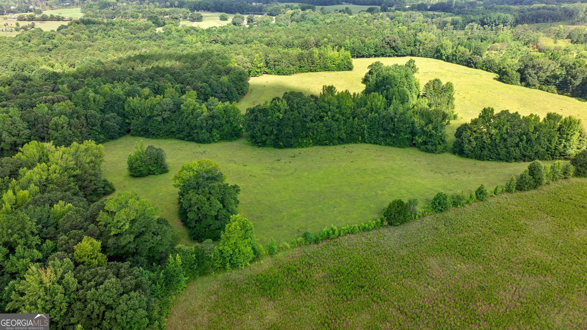 unimproved land for sale at 0 Ray Road, Gay, GA 30218 — photo 3