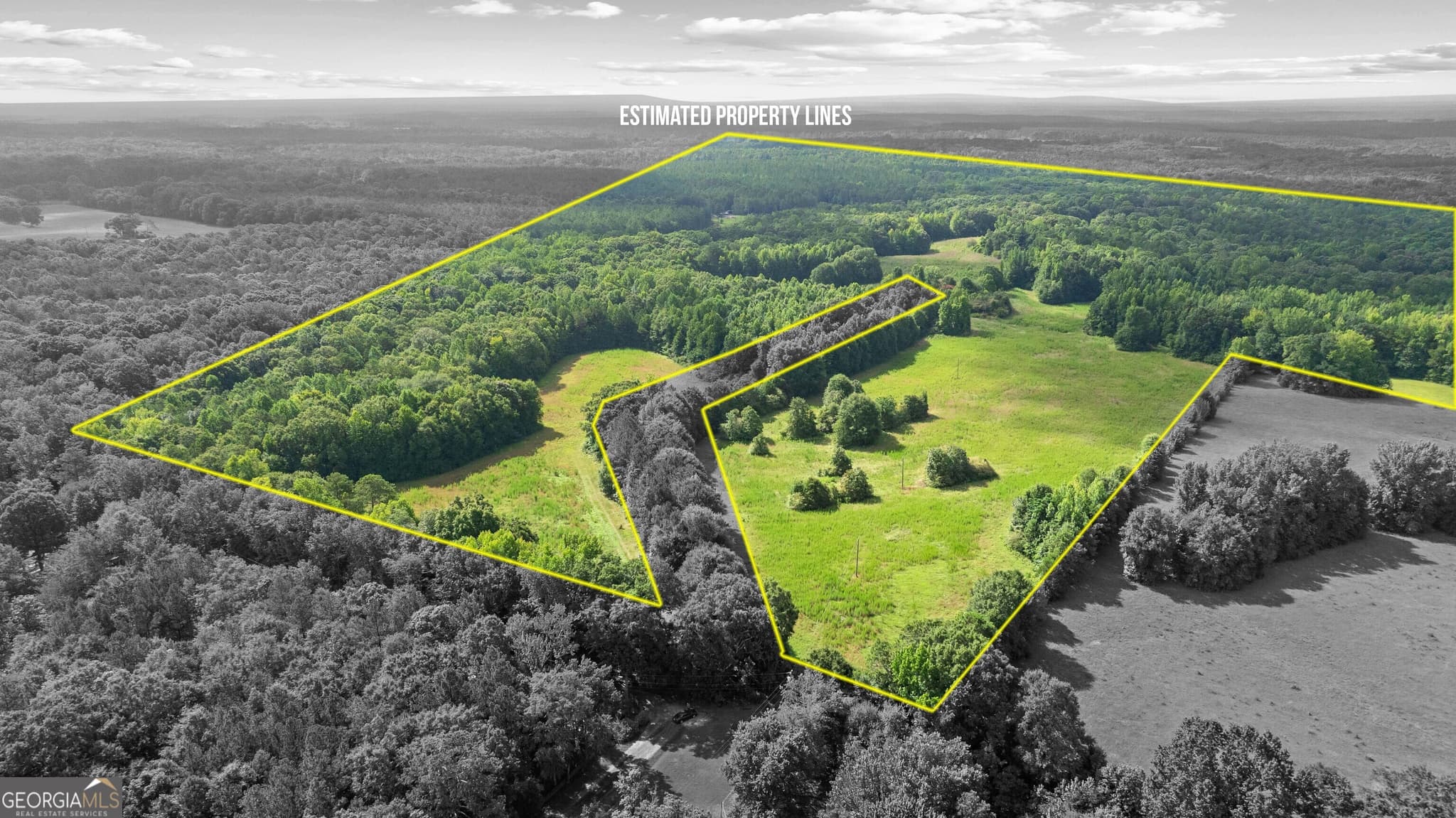 unimproved land for sale at 0 Ray Road, Gay, GA 30218 — photo 5