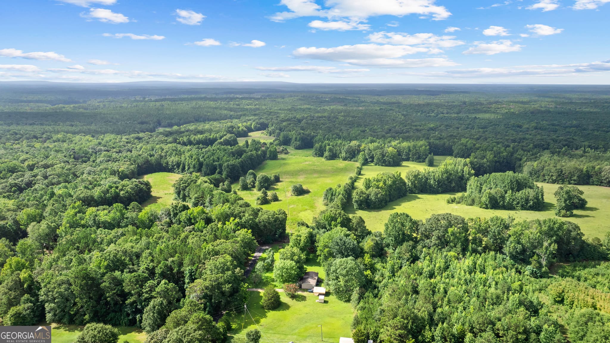 unimproved land for sale at 0 Ray Road, Gay, GA 30218 — photo 9