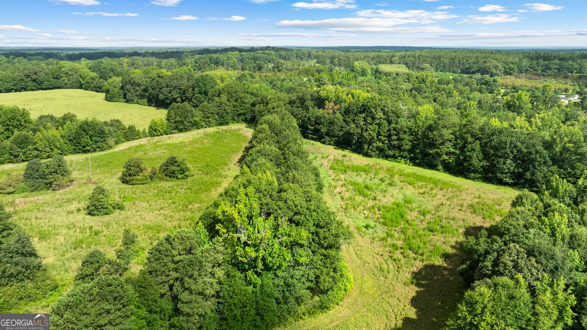 unimproved land for sale at 0 Ray Road, Gay, GA 30218 — photo 10