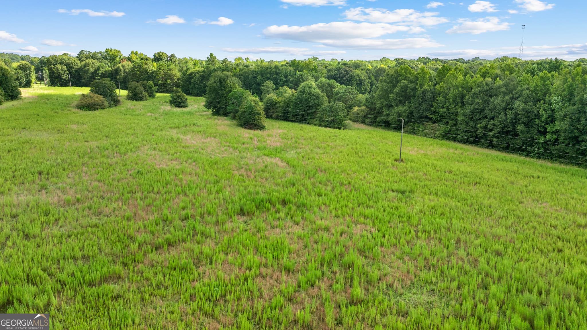 unimproved land for sale at 0 Ray Road, Gay, GA 30218 — photo 4