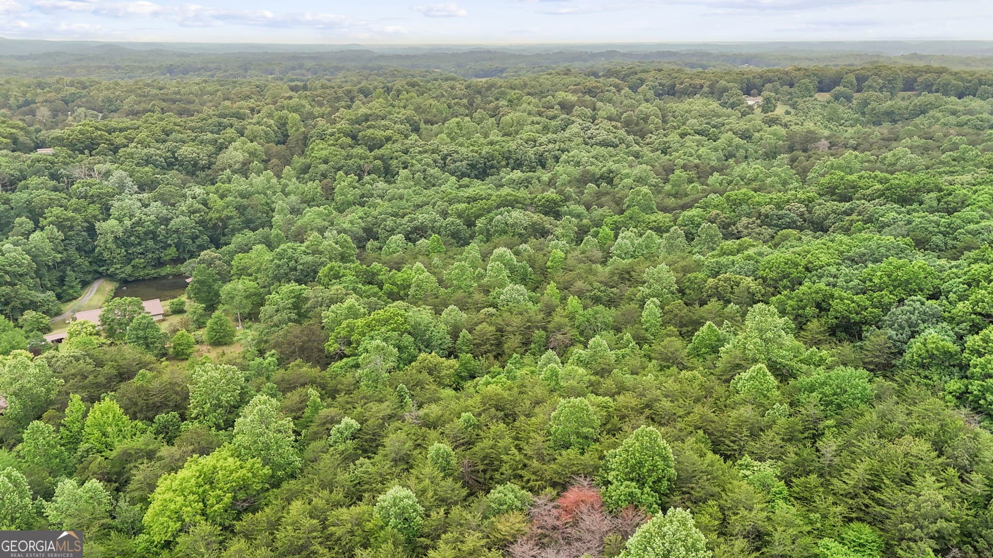 3 bedroom, 3.5 bathroom, 5,288 sq ft single family residence for sale at 4454 Ledan Extension, Gainesville, GA 30506 — photo 7