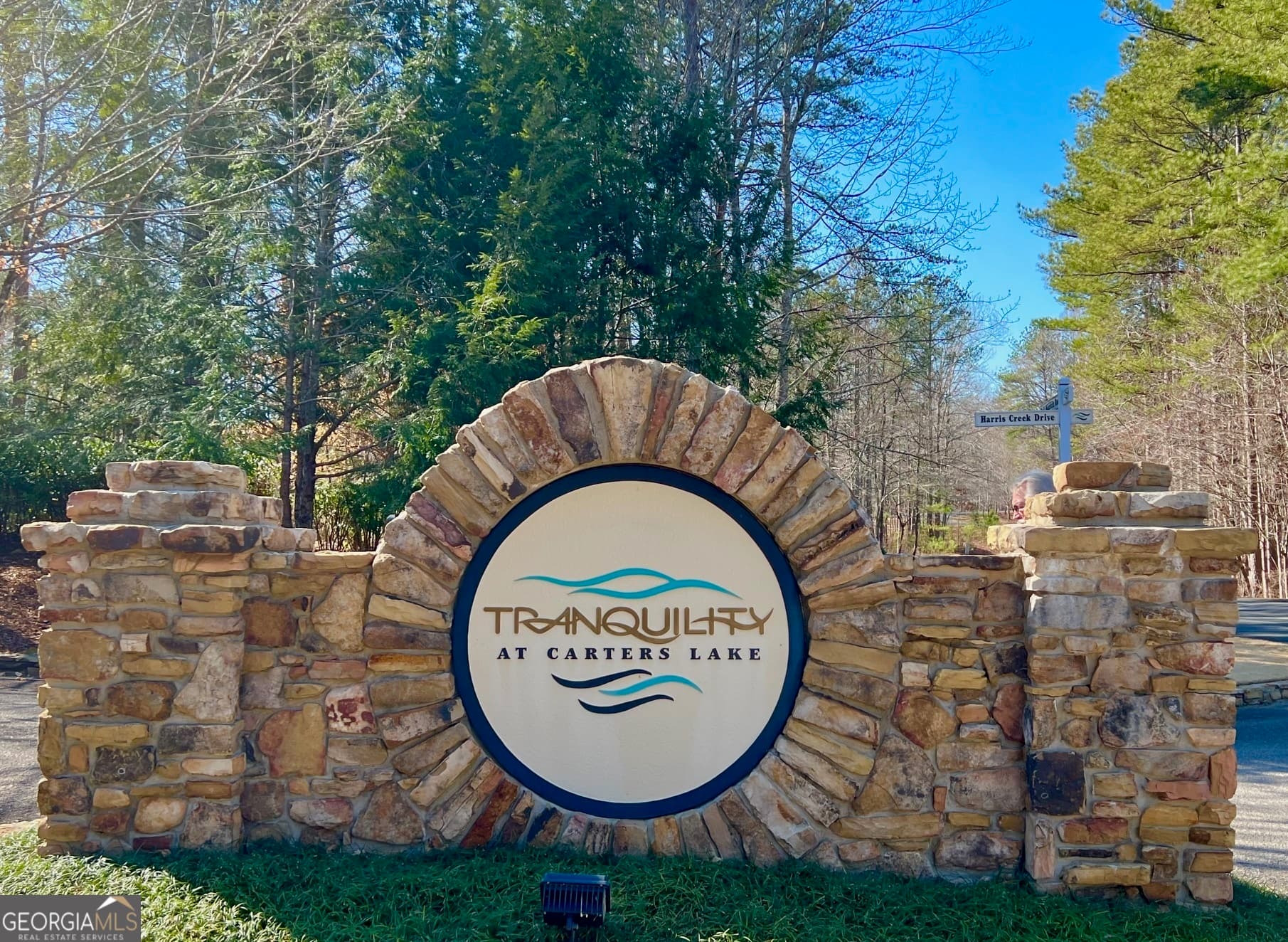 residential lot for sale at 113 Beech Tree Drive, Ellijay, GA 30540 — photo 2