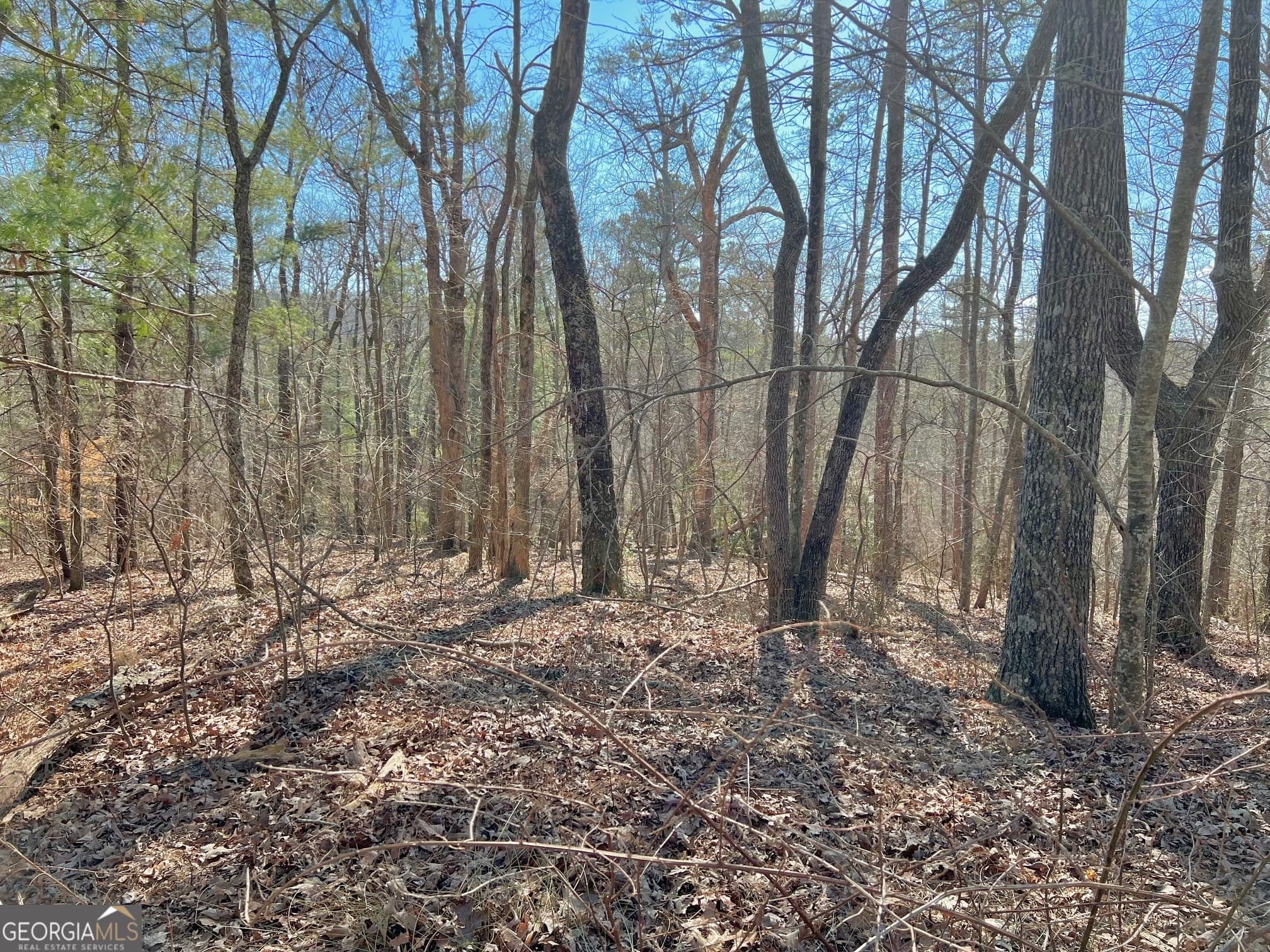 residential lot for sale at 113 Beech Tree Drive, Ellijay, GA 30540 — photo 1 of 25