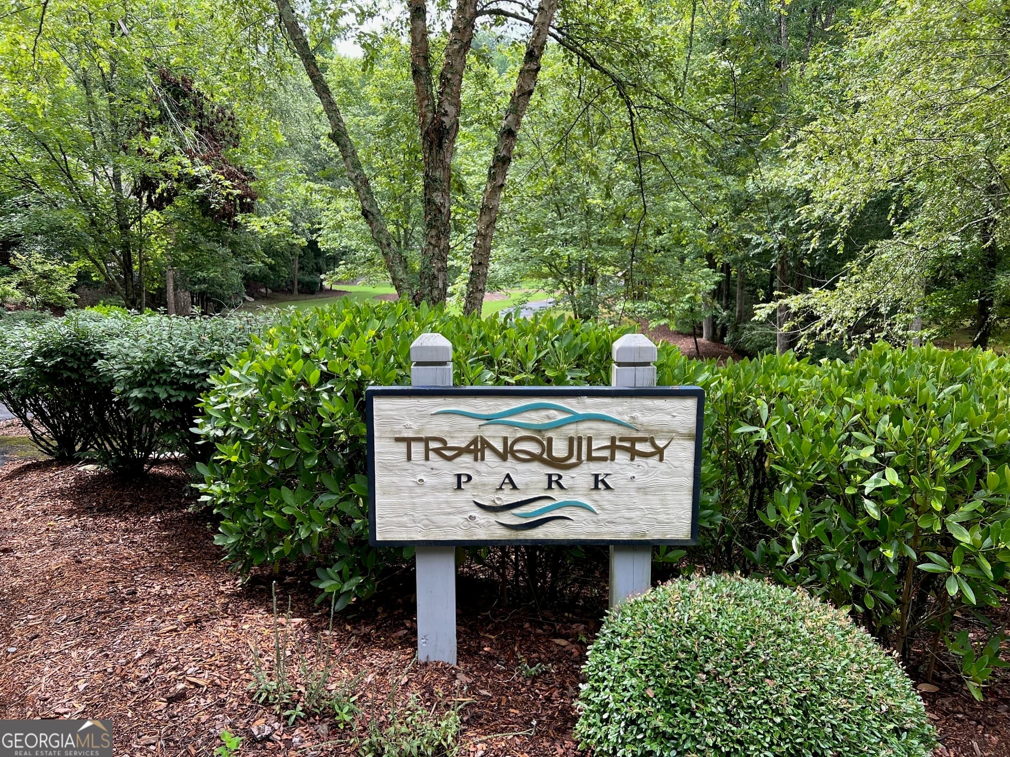 residential lot for sale at 113 Beech Tree Drive, Ellijay, GA 30540 — photo 9
