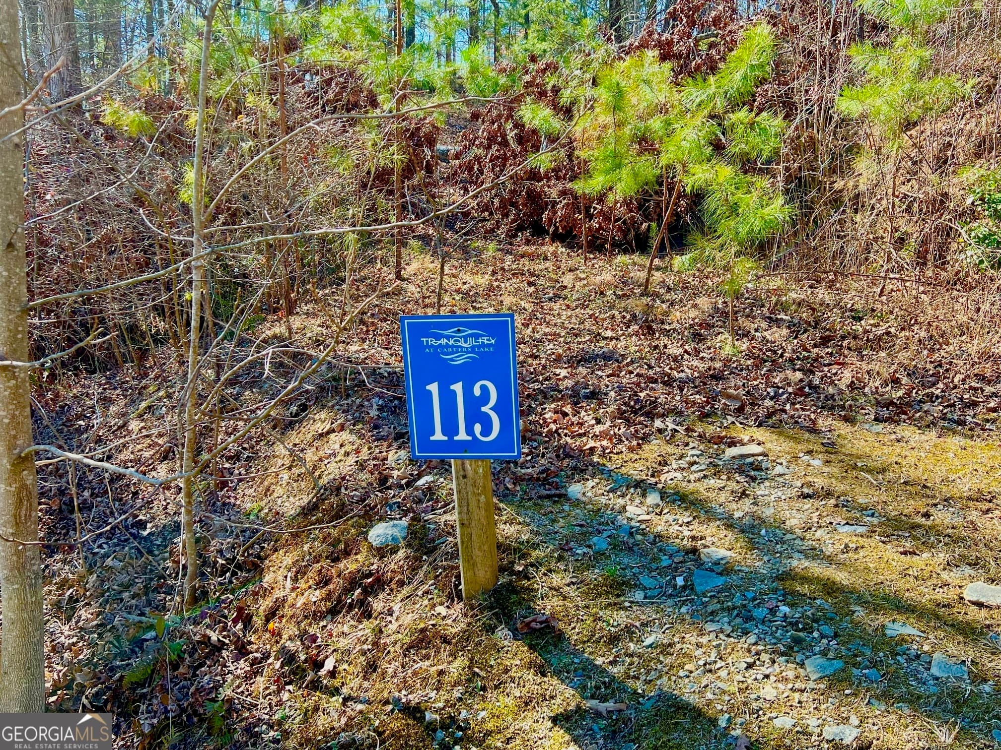 residential lot for sale at 113 Beech Tree Drive, Ellijay, GA 30540 — photo 10