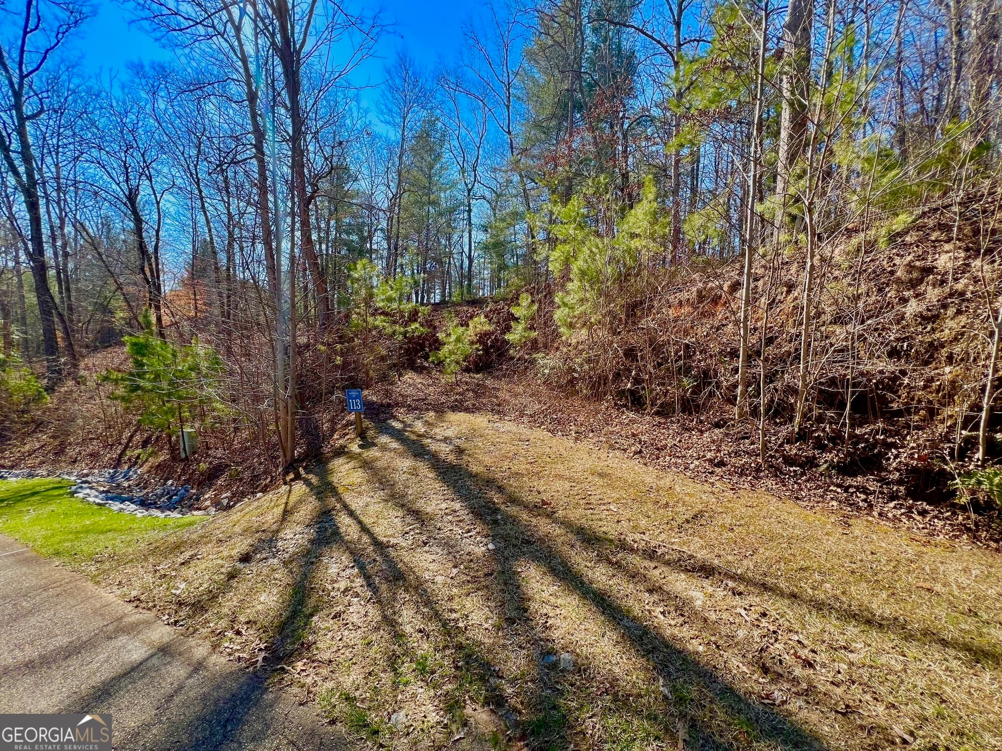 residential lot for sale at 113 Beech Tree Drive, Ellijay, GA 30540 — photo 4