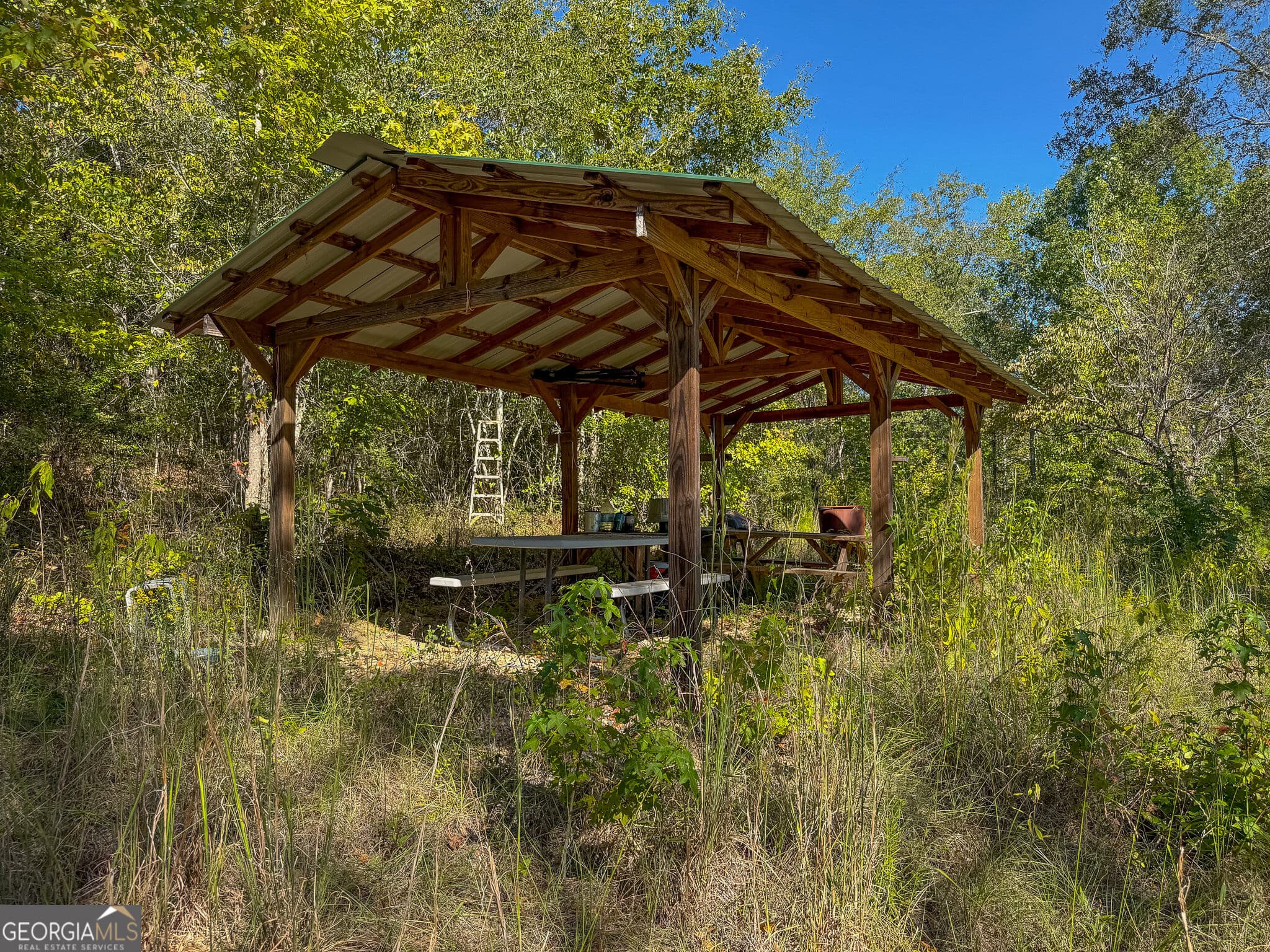 agriculture for sale at 1216 Buddy Boy Thornton Road, Richland, GA 31825 — photo 2