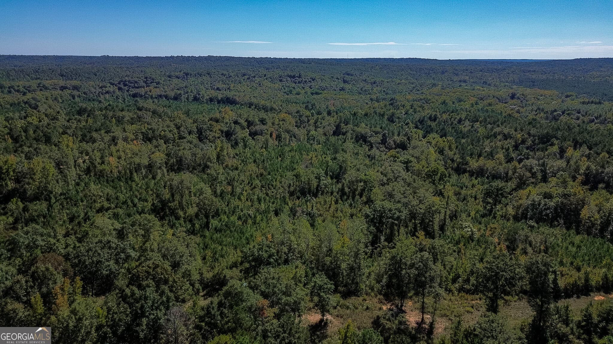 agriculture for sale at 1216 Buddy Boy Thornton Road, Richland, GA 31825 — photo 6