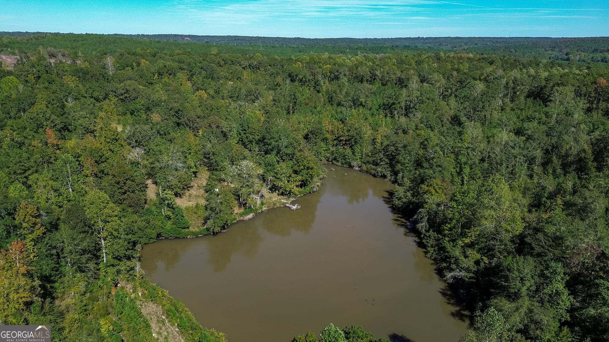 agriculture for sale at 1216 Buddy Boy Thornton Road, Richland, GA 31825 — photo 1 of 17