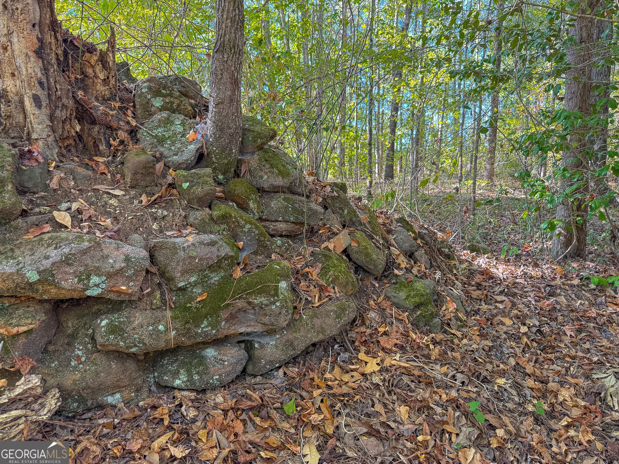 agriculture for sale at 1216 Buddy Boy Thornton Road, Richland, GA 31825 — photo 9