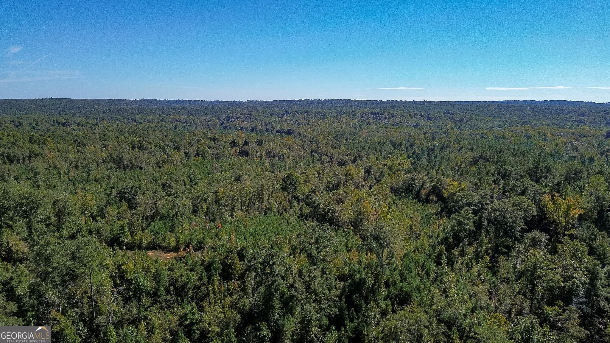 agriculture for sale at 1216 Buddy Boy Thornton Road, Richland, GA 31825 — photo 10