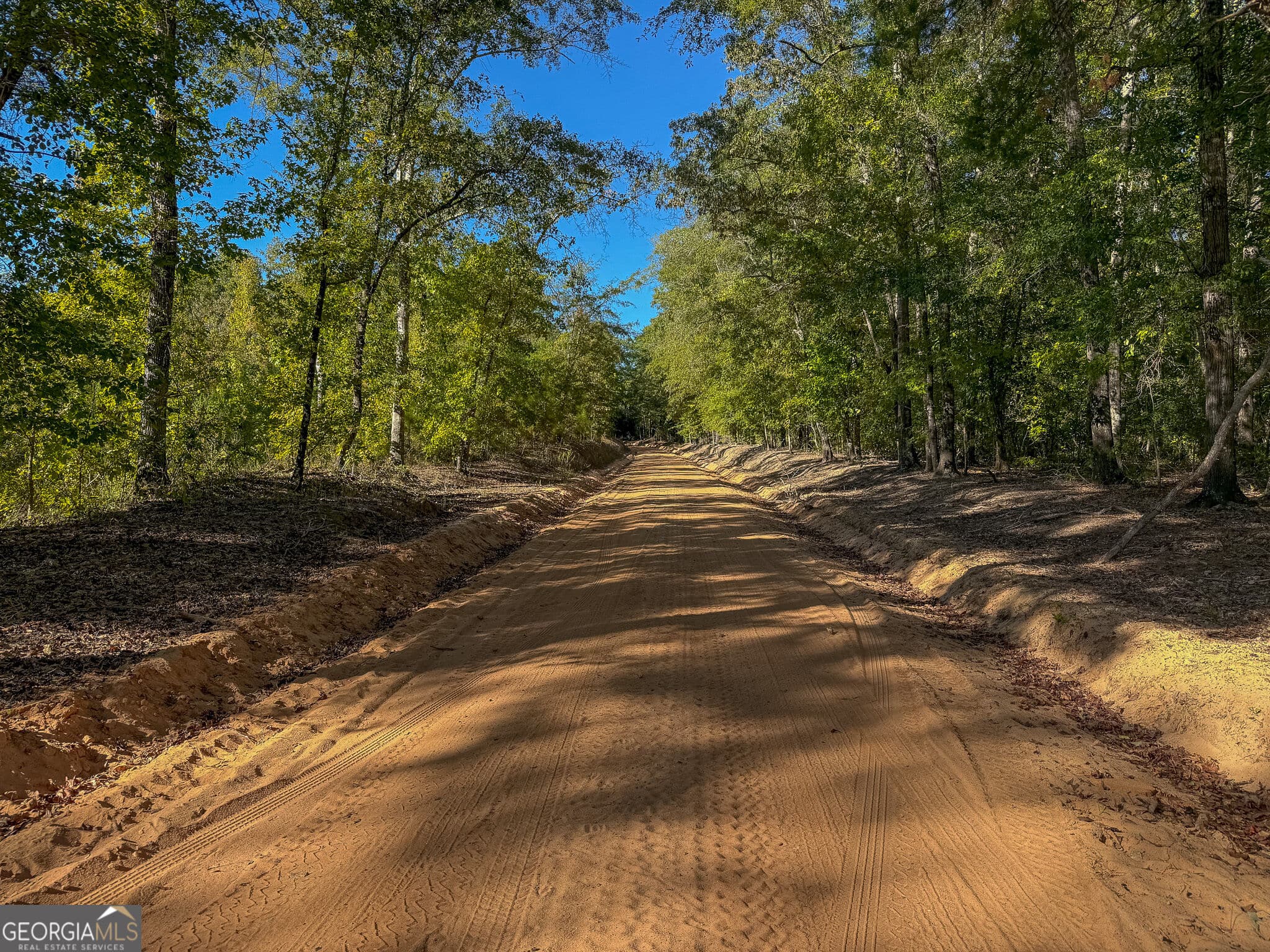 agriculture for sale at 1216 Buddy Boy Thornton Road, Richland, GA 31825 — photo 4