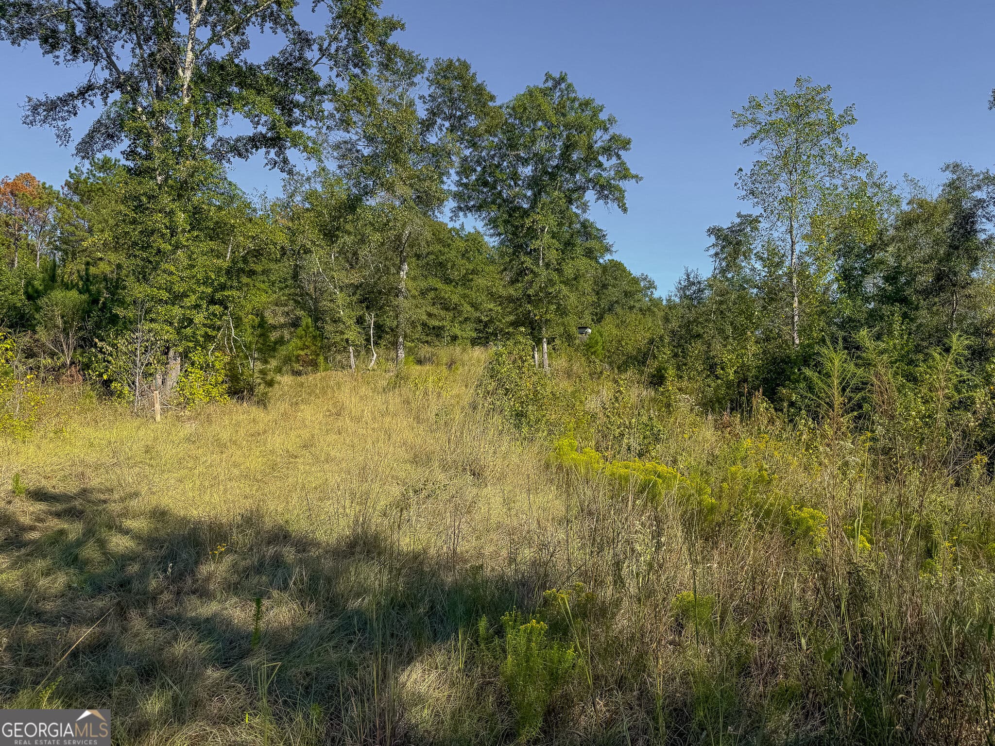 agriculture for sale at 1216 Buddy Boy Thornton Road, Richland, GA 31825 — photo 8