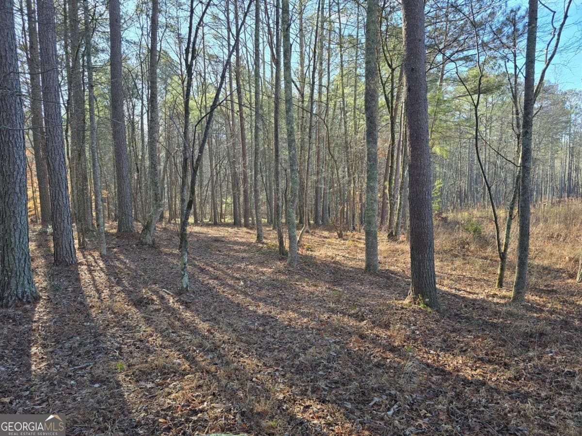 residential lot for sale at 0 Highgrove Drive, Talking Rock, GA 30175 — photo 6