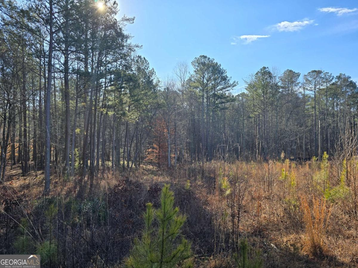 residential lot for sale at 0 Highgrove Drive, Talking Rock, GA 30175 — photo 7