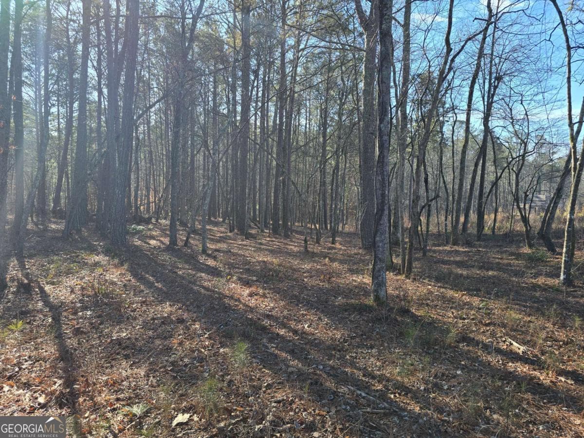 residential lot for sale at 0 Highgrove Drive, Talking Rock, GA 30175 — photo 5