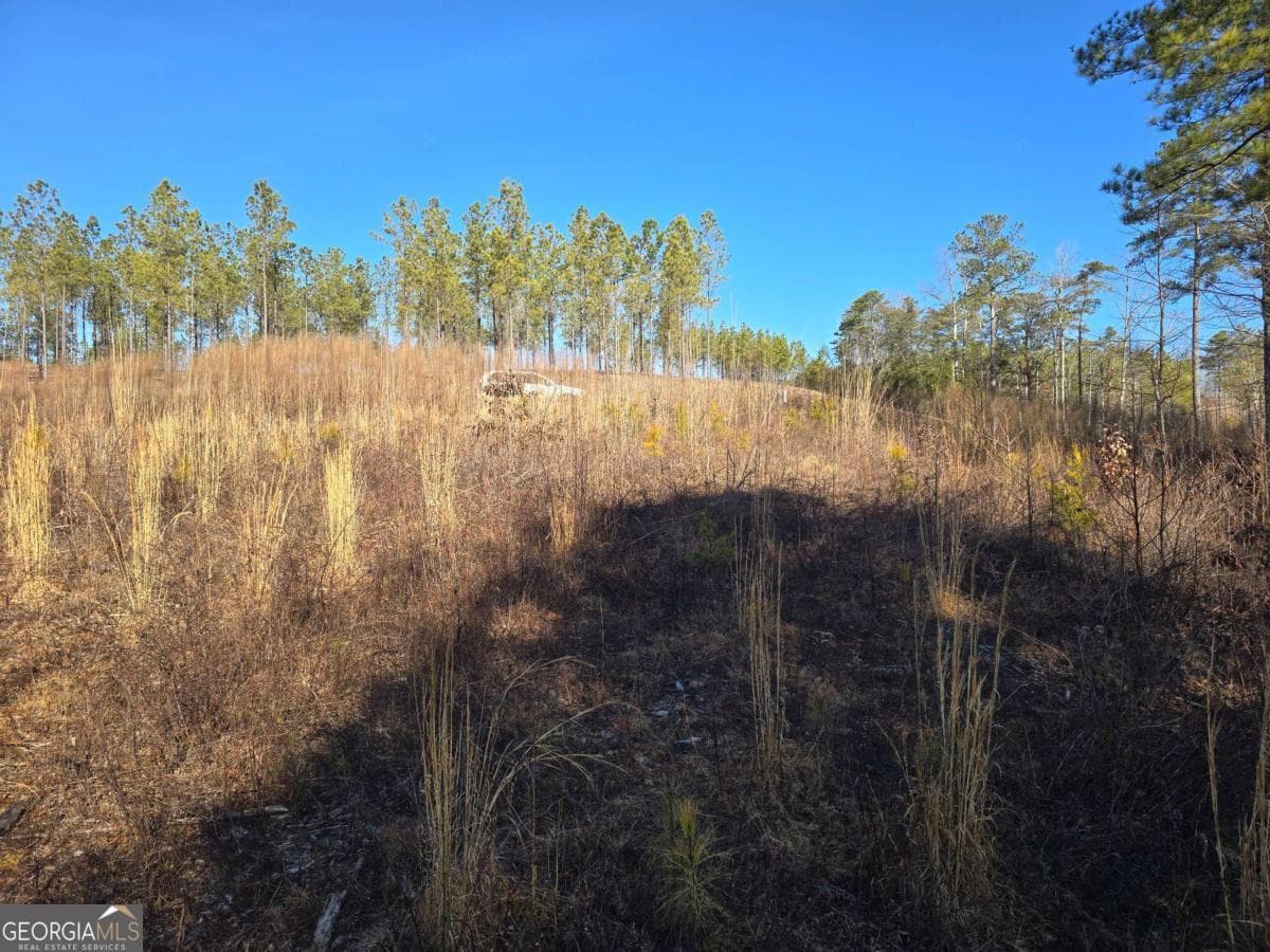 residential lot for sale at 0 Highgrove Drive, Talking Rock, GA 30175 — photo 9