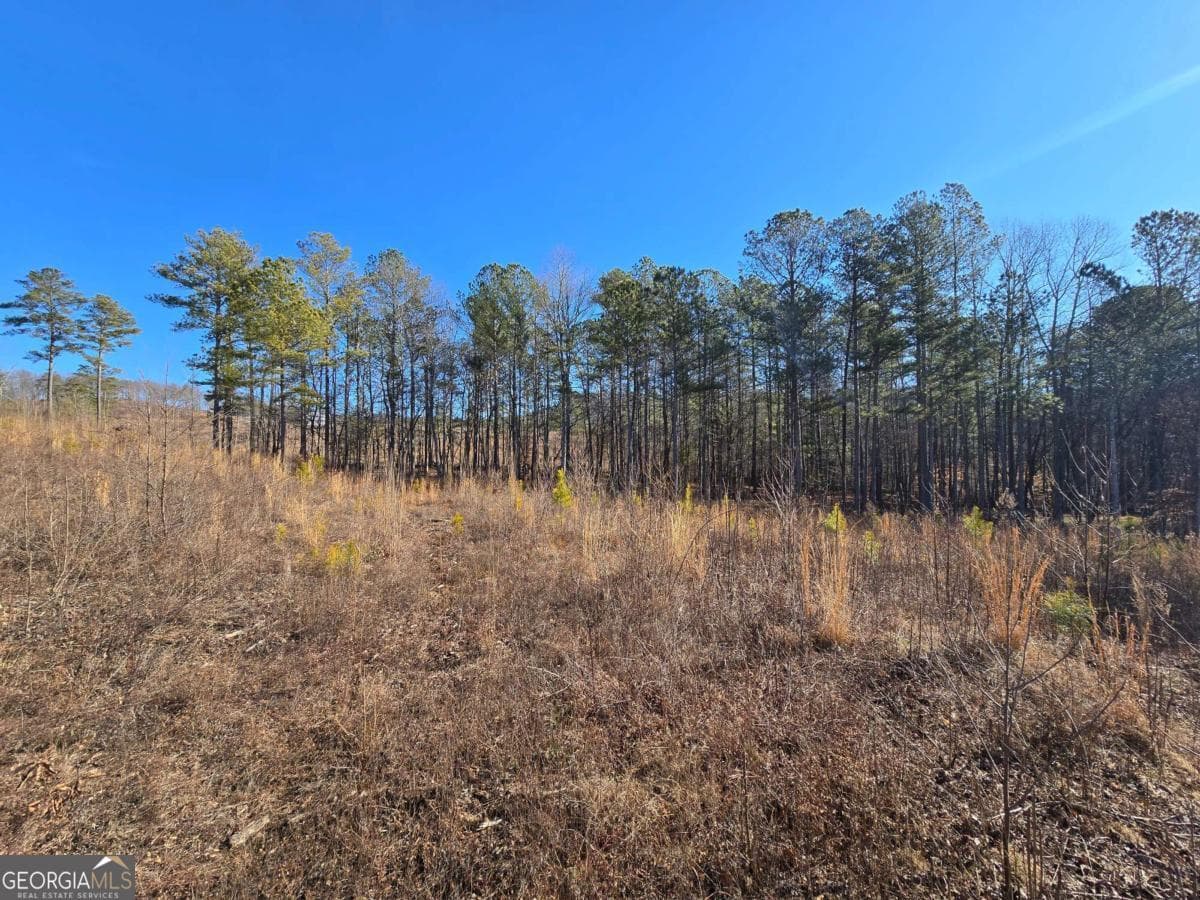 residential lot for sale at 0 Highgrove Drive, Talking Rock, GA 30175 — photo 10