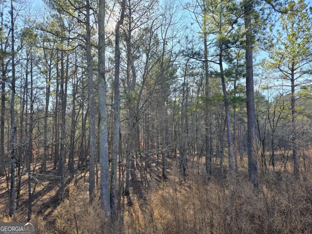 residential lot for sale at 0 Highgrove Drive, Talking Rock, GA 30175 — photo 4