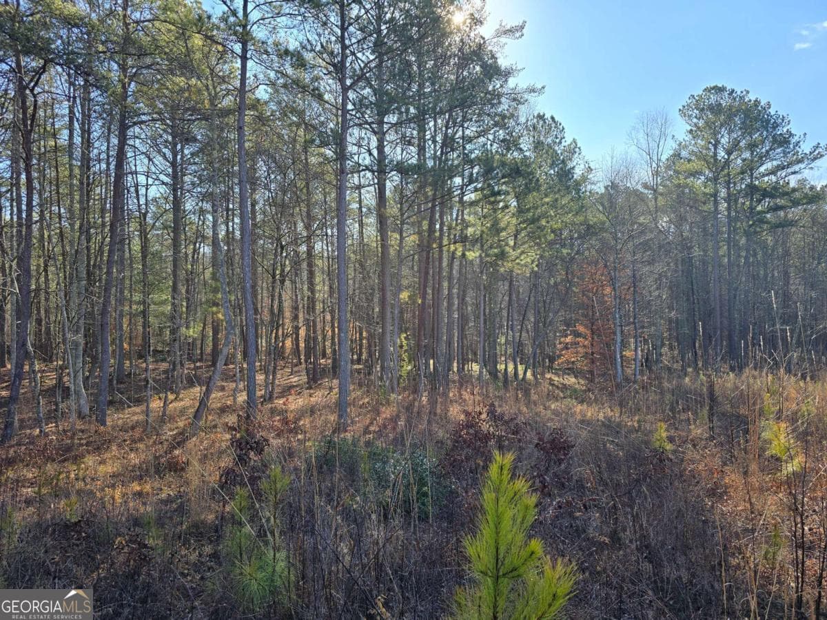 residential lot for sale at 0 Highgrove Drive, Talking Rock, GA 30175 — photo 8
