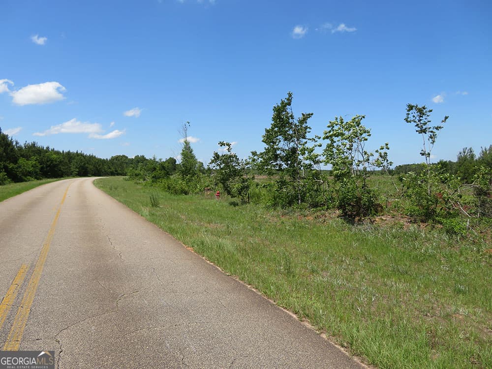 residential lot for sale at K 2 Goolsby Road, Ellaville, GA 31806 — photo 2
