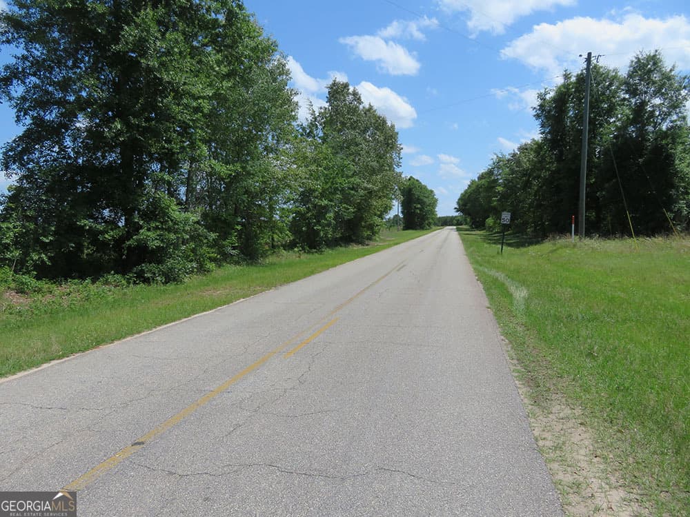 residential lot for sale at K 2 Goolsby Road, Ellaville, GA 31806 — photo 6