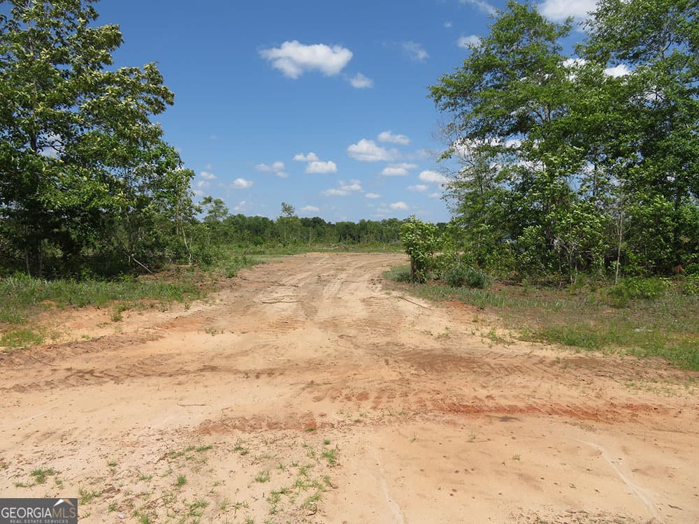 residential lot for sale at K 2 Goolsby Road, Ellaville, GA 31806 — photo 7