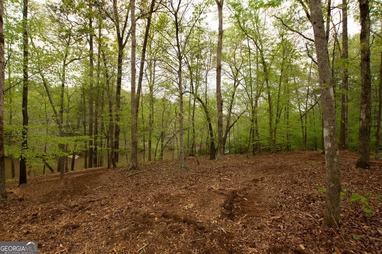 unimproved land for sale at 0 River Overlook, Forsyth, GA 31029 — photo 6
