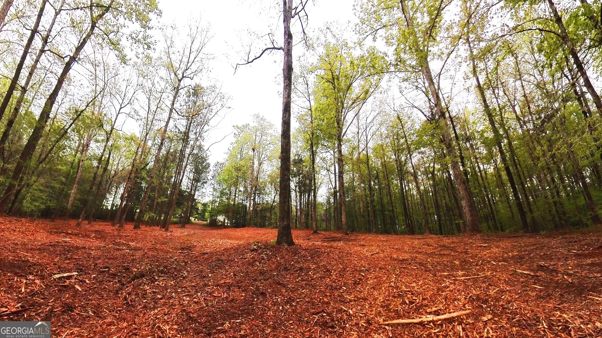 unimproved land for sale at 0 River Overlook, Forsyth, GA 31029 — photo 7