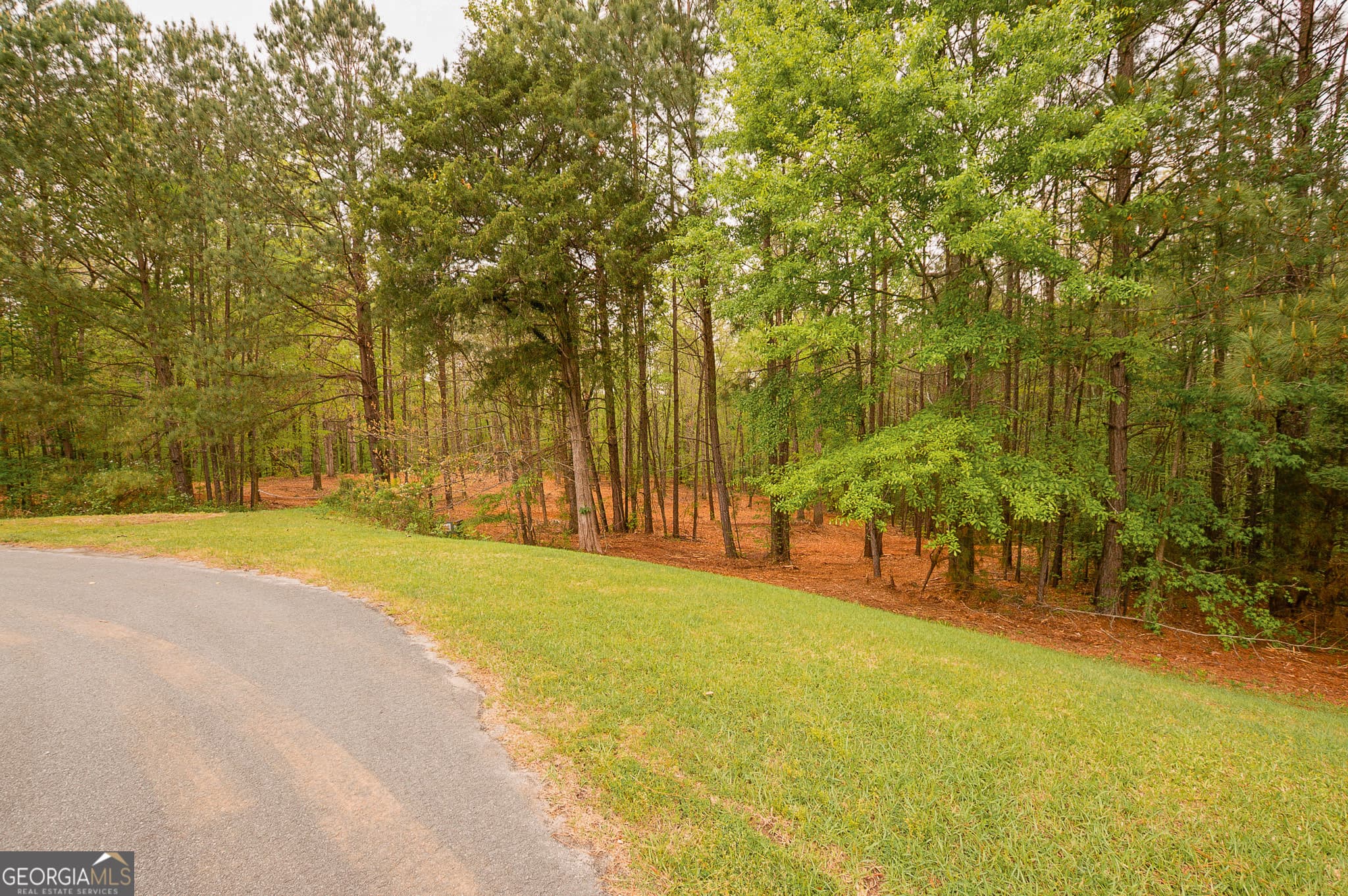 unimproved land for sale at 0 River Overlook, Forsyth, GA 31029 — photo 3