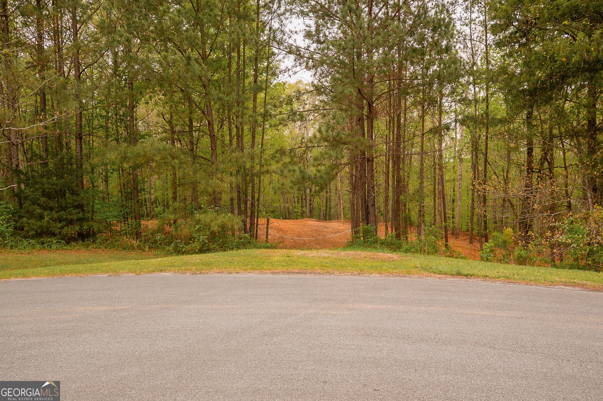 unimproved land for sale at 0 River Overlook, Forsyth, GA 31029 — photo 1 of 23