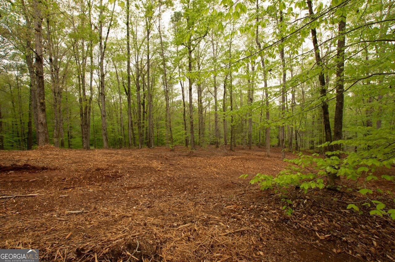 unimproved land for sale at 0 River Overlook, Forsyth, GA 31029 — photo 5