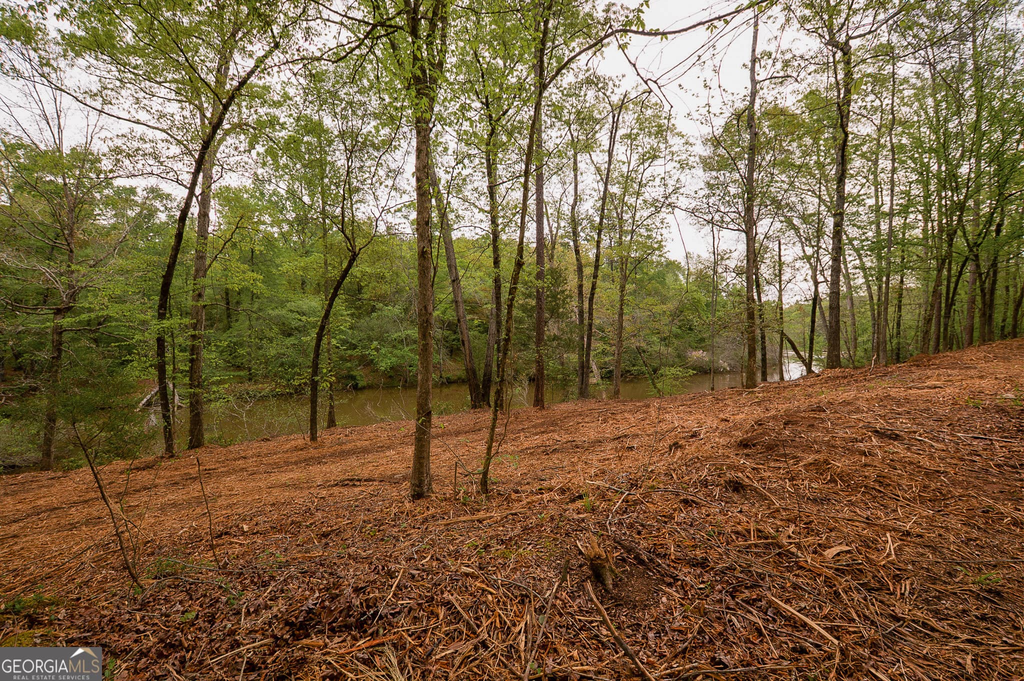 unimproved land for sale at 0 River Overlook, Forsyth, GA 31029 — photo 9