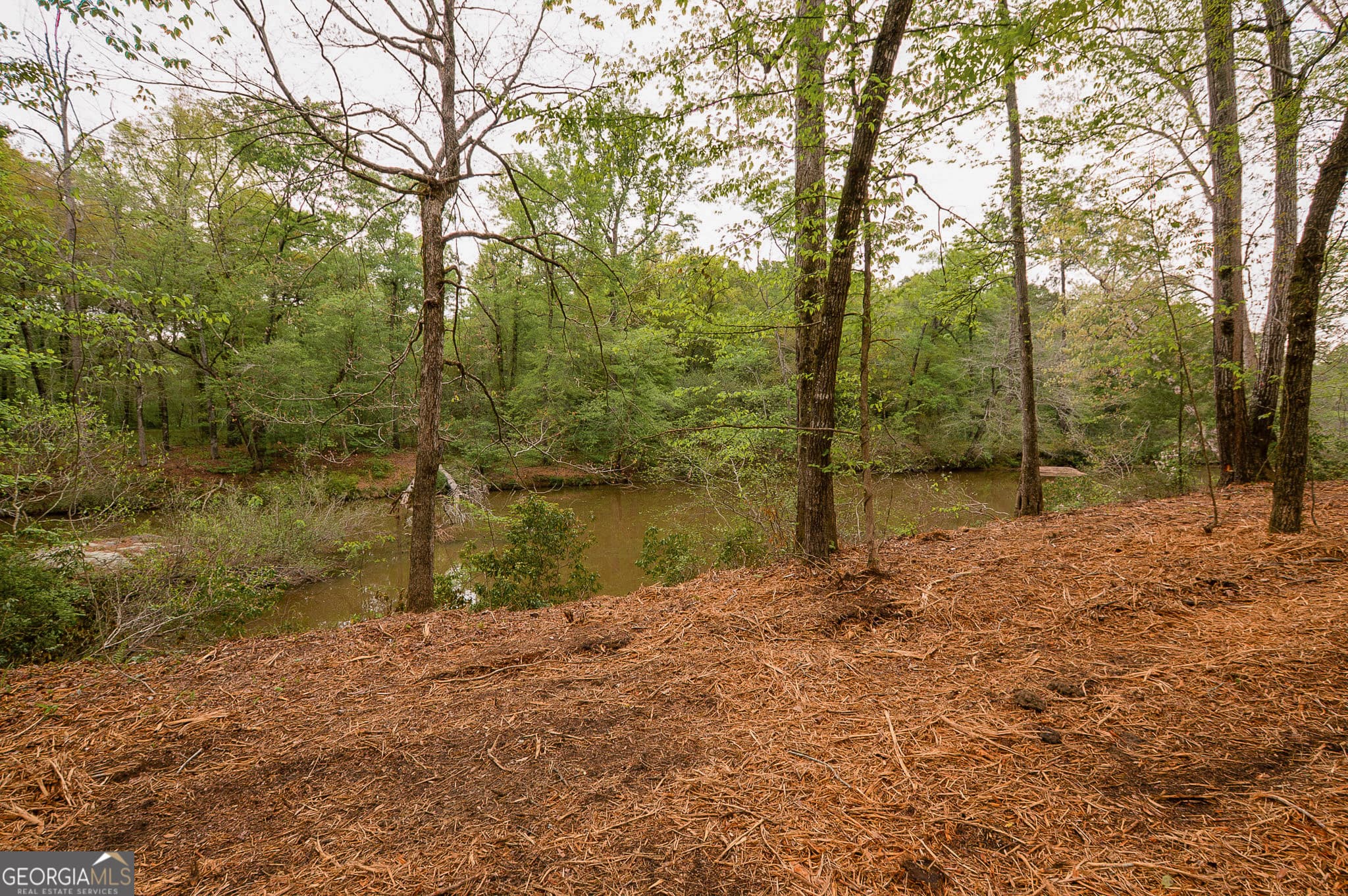 unimproved land for sale at 0 River Overlook, Forsyth, GA 31029 — photo 10