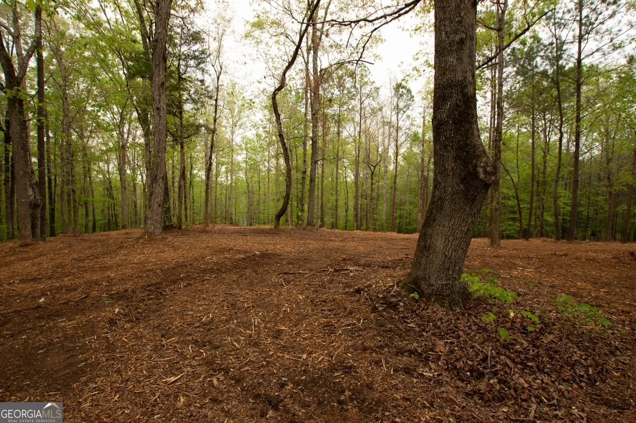 unimproved land for sale at 0 River Overlook, Forsyth, GA 31029 — photo 4