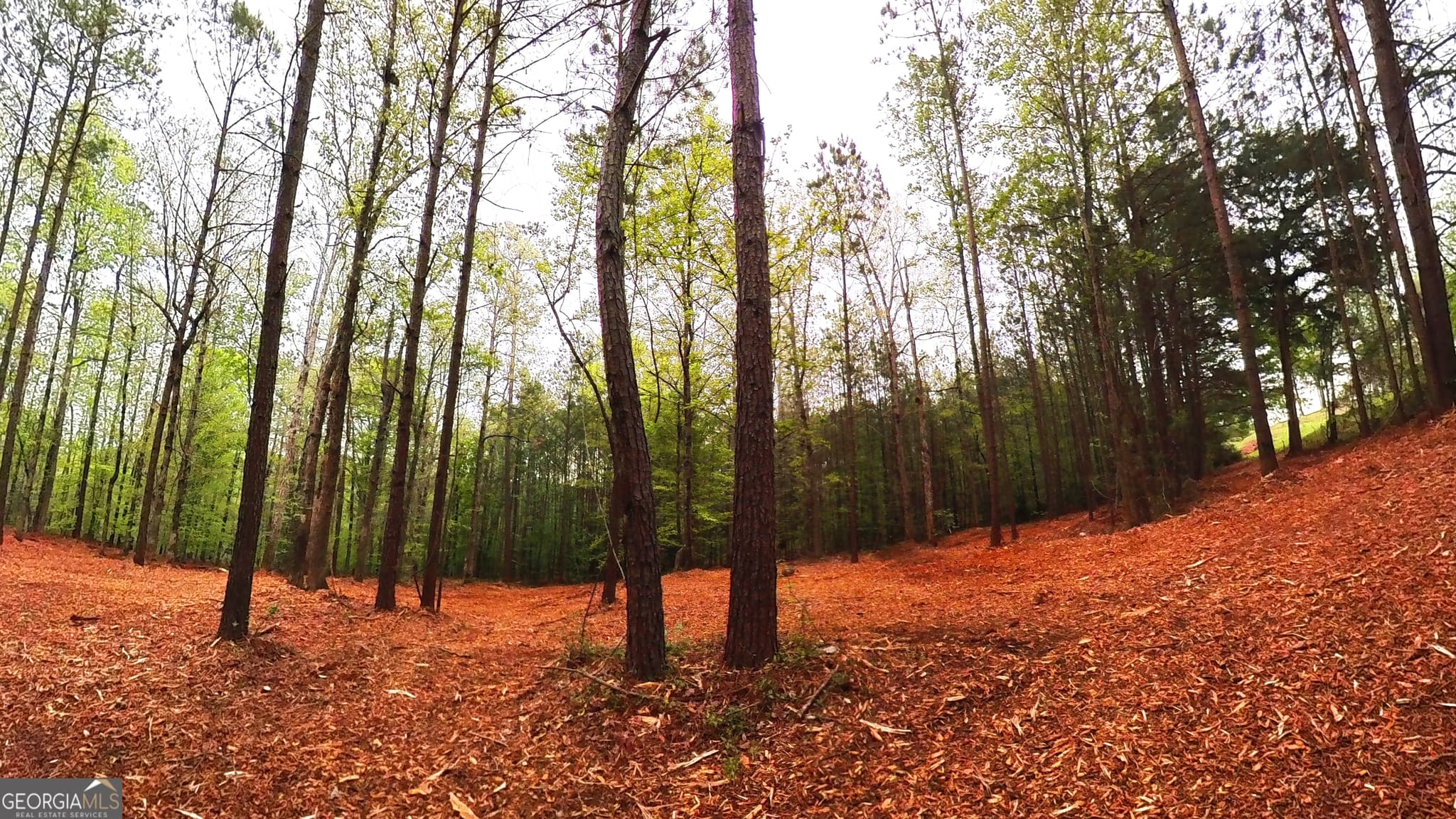 unimproved land for sale at 0 River Overlook, Forsyth, GA 31029 — photo 8