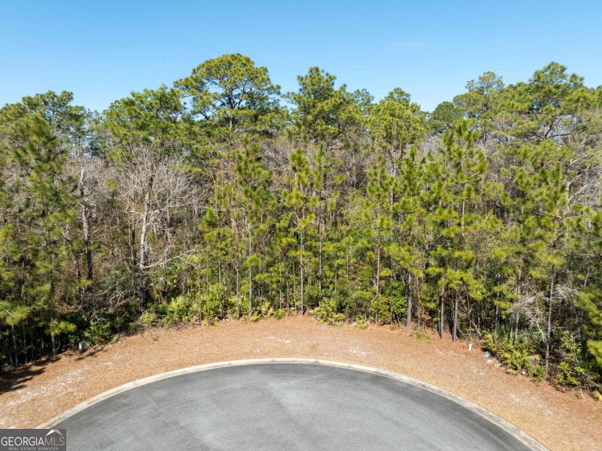 residential lot for sale at 101 Bluebill Trail, Brunswick, GA 31523 — photo 3