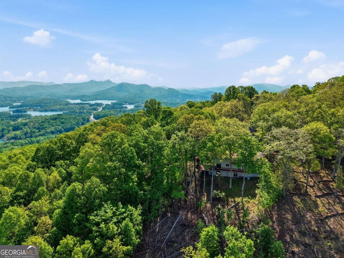 3 bedroom, 3.5 bathroom, 3,080 sq ft single family residence for sale at 860 Frog Pond Road 57, Hiawassee, GA 30546 — photo 6