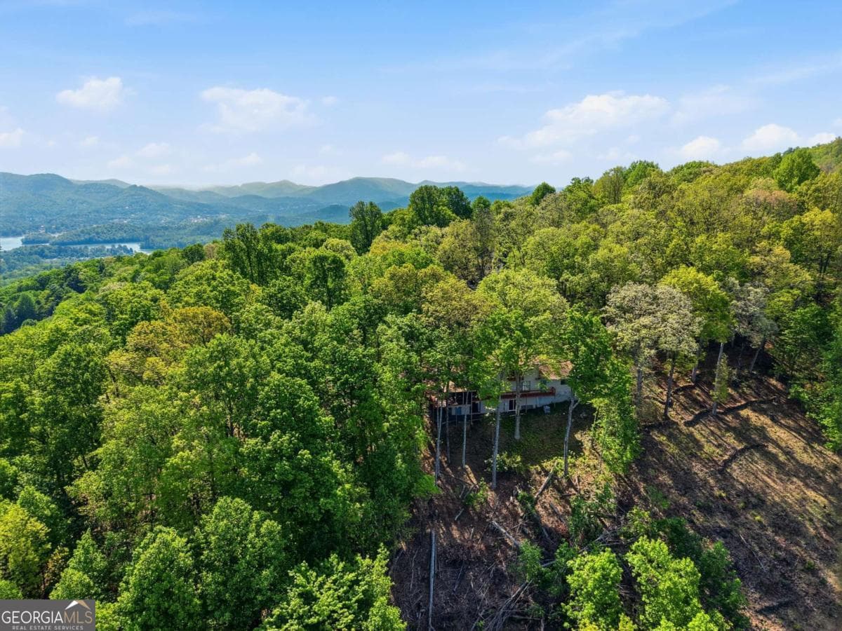 3 bedroom, 3.5 bathroom, 3,080 sq ft single family residence for sale at 860 Frog Pond Road 57, Hiawassee, GA 30546 — photo 5