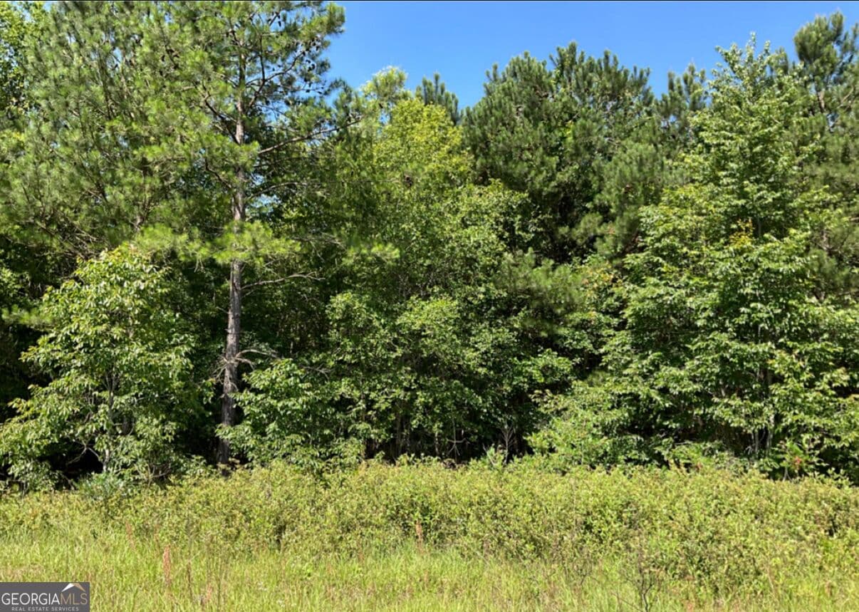 residential lot for sale at 0 High Crest Lane, Hawkinsville, GA 31036