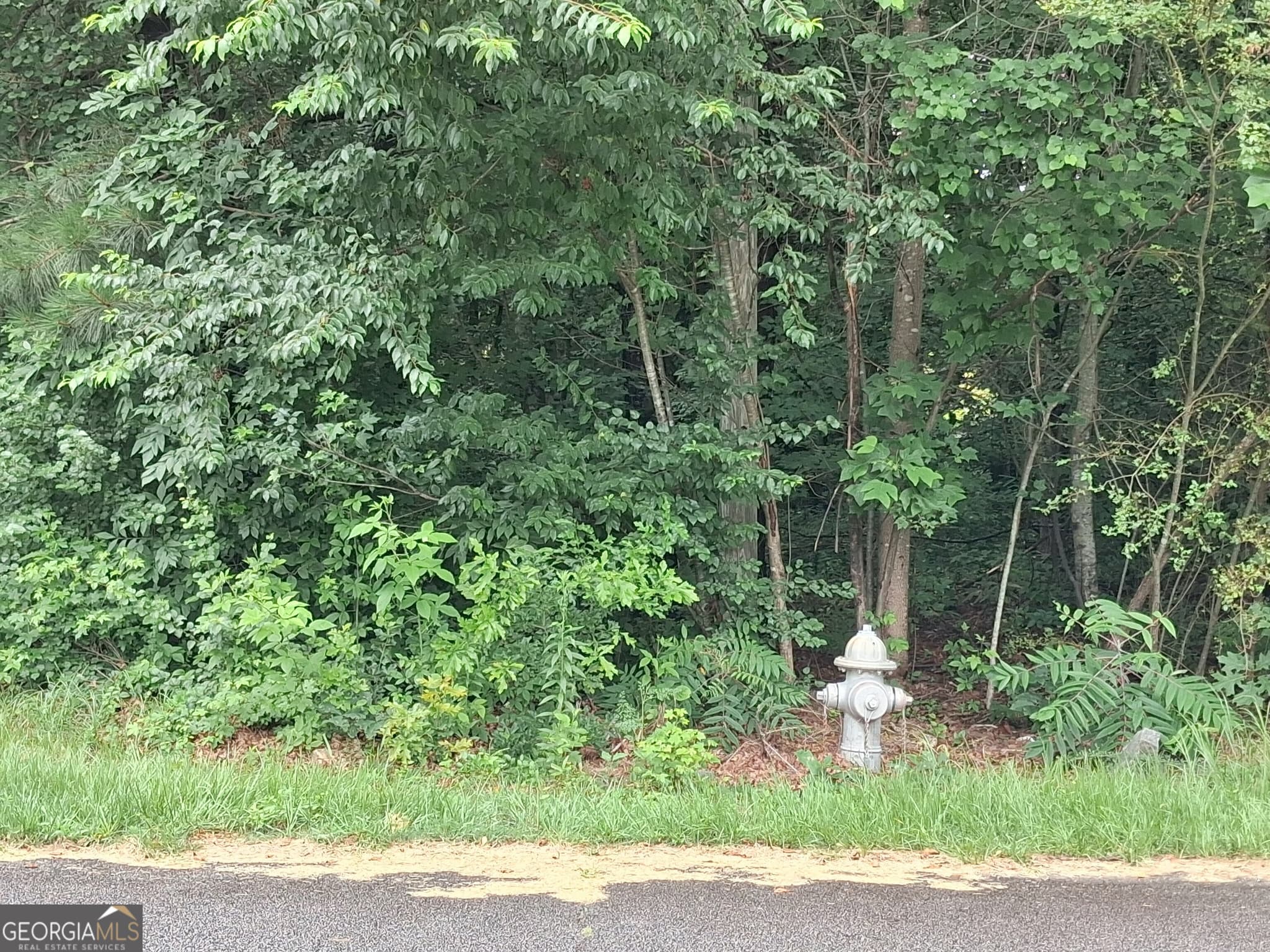 residential lot for sale at 0 N Pleasant Oak Drive, Temple, GA 30179 — photo 2