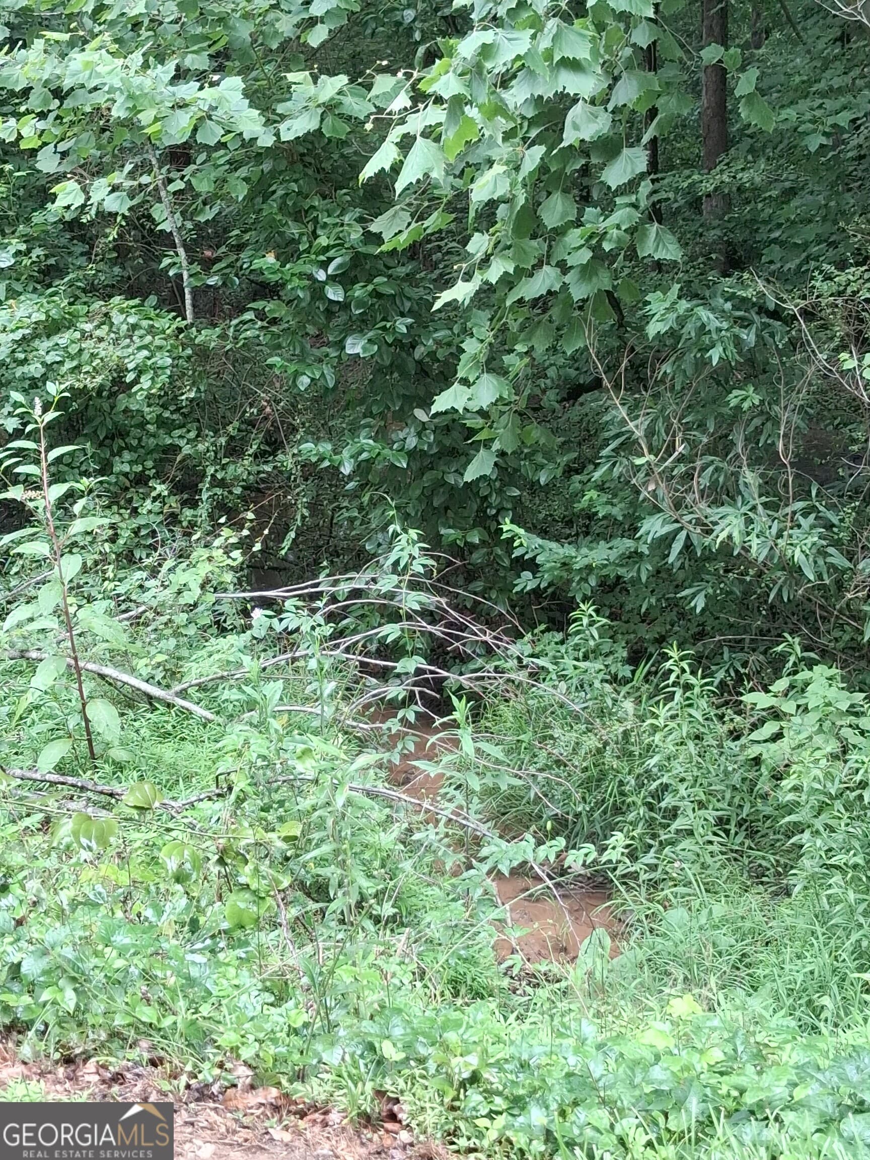 residential lot for sale at 0 N Pleasant Oak Drive, Temple, GA 30179 — photo 3
