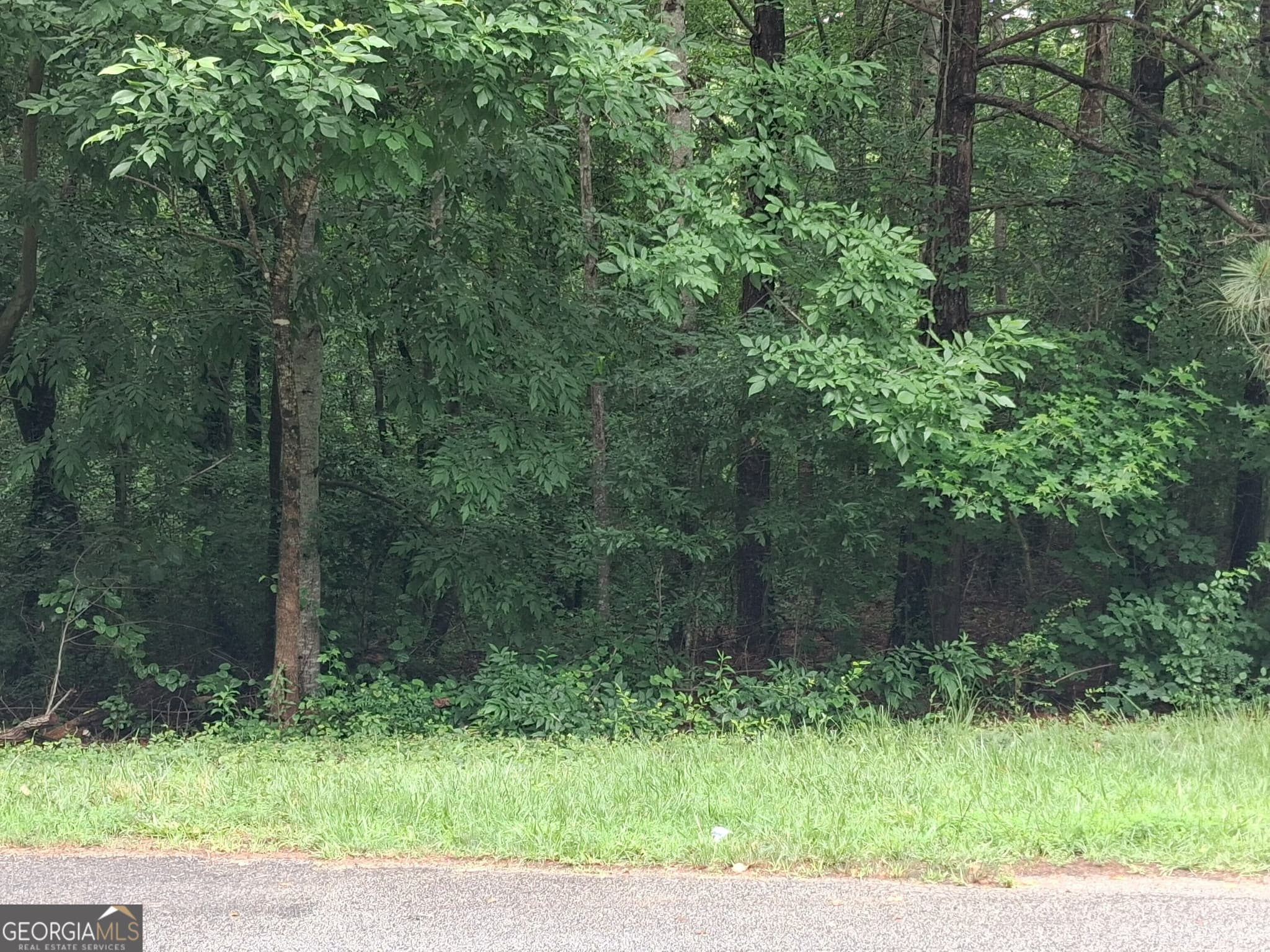 residential lot for sale at 0 N Pleasant Oak Drive, Temple, GA 30179 — photo 1 of 5