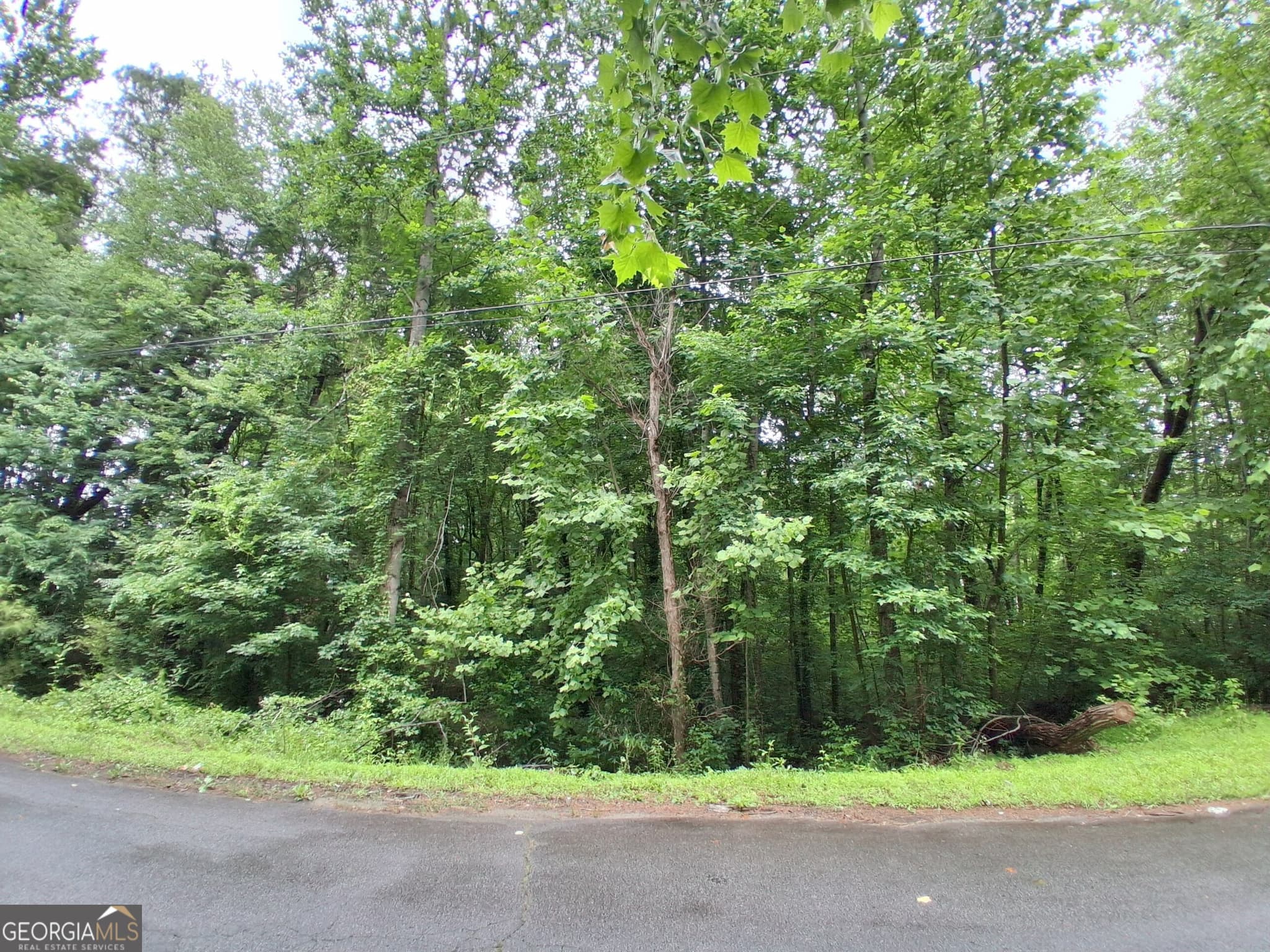 residential lot for sale at 0 N Pleasant Oak Drive, Temple, GA 30179 — photo 4