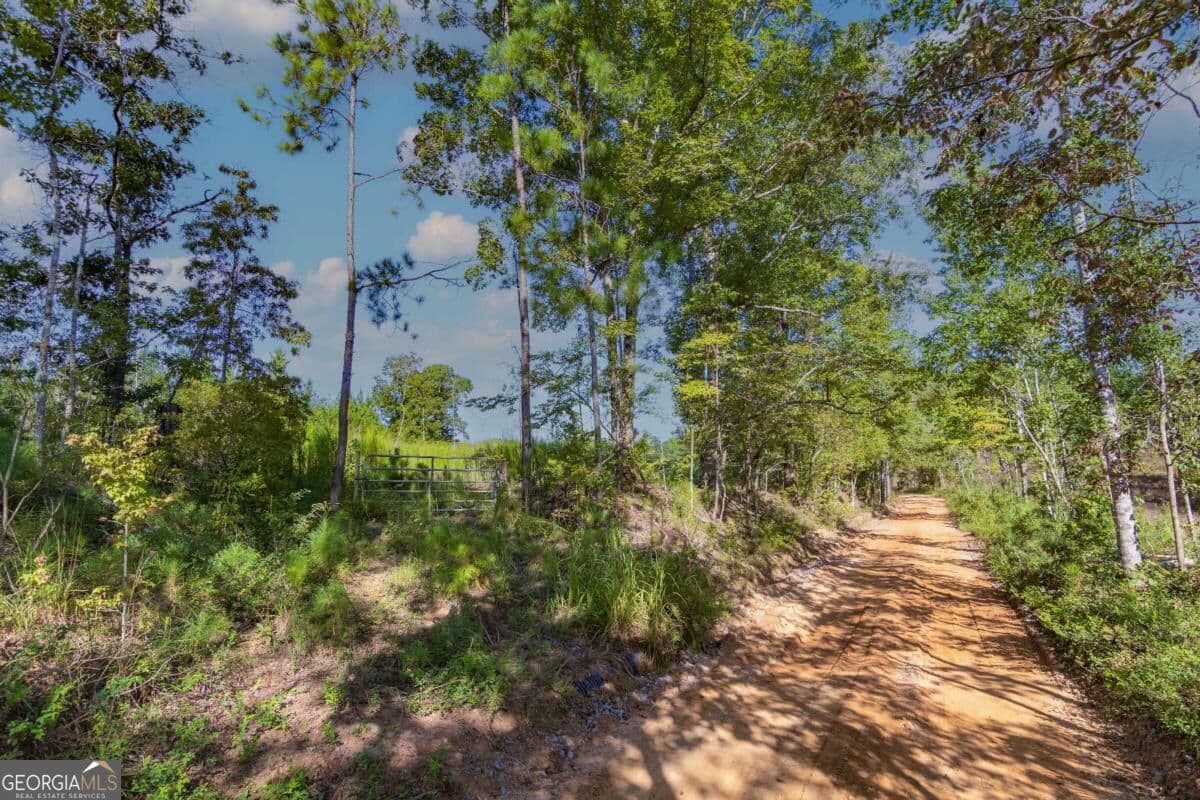 unimproved land for sale at TRACT 8 Carlisle Gap Road, Woodland, GA 31836 — photo 2