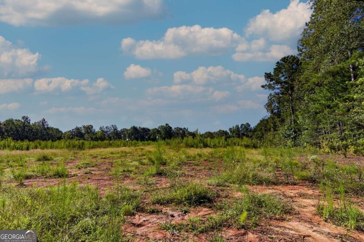 unimproved land for sale at TRACT 8 Carlisle Gap Road, Woodland, GA 31836 — photo 6
