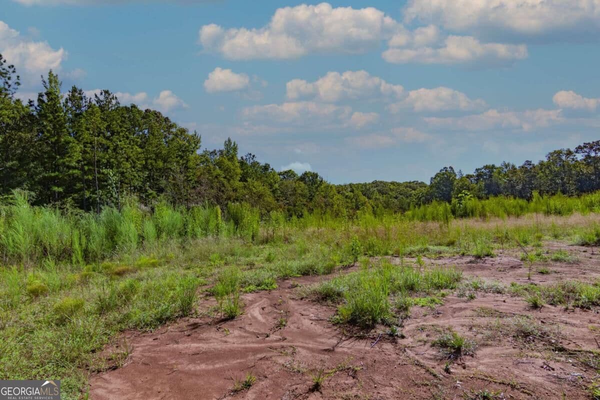 unimproved land for sale at TRACT 8 Carlisle Gap Road, Woodland, GA 31836 — photo 7