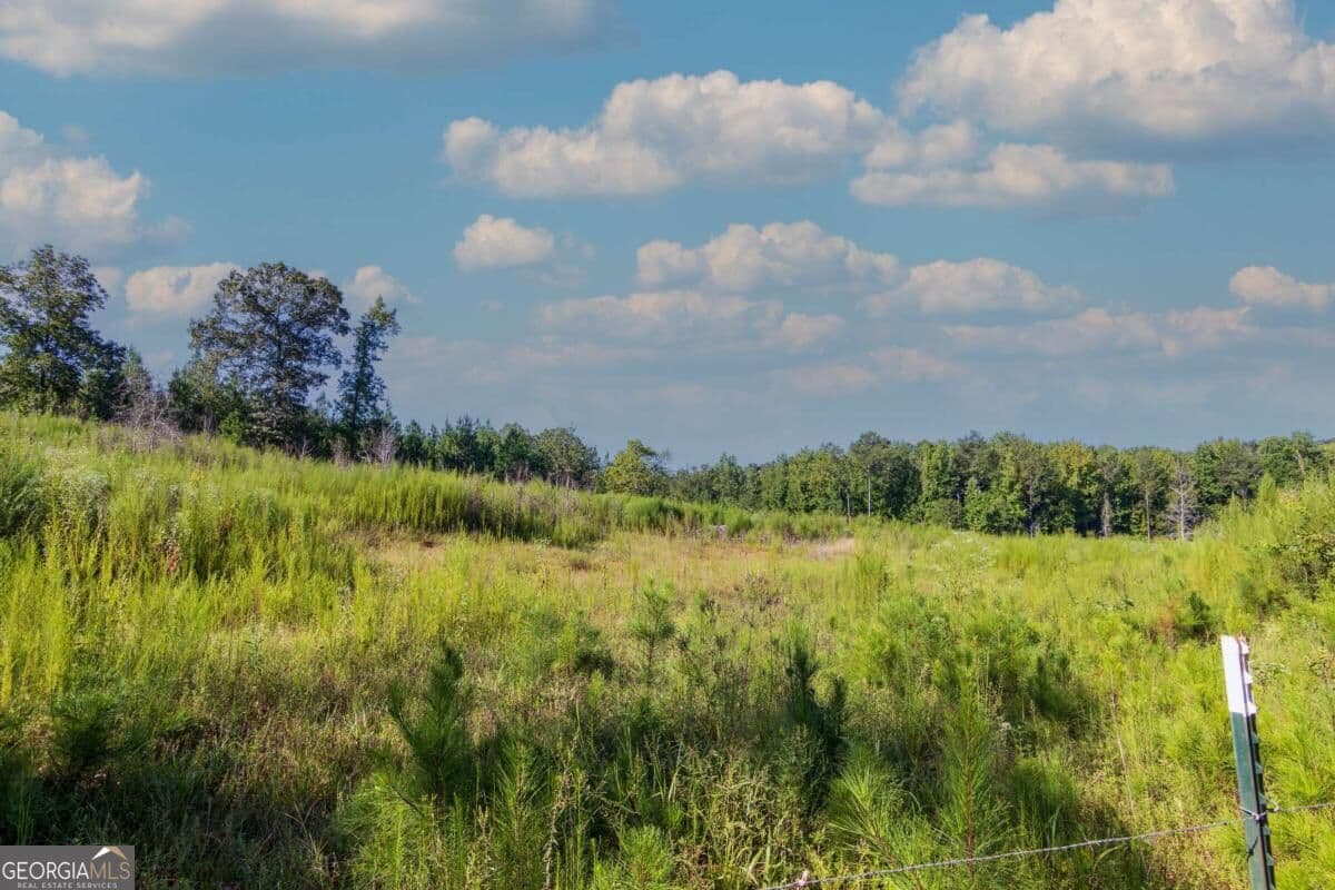 unimproved land for sale at TRACT 8 Carlisle Gap Road, Woodland, GA 31836 — photo 3